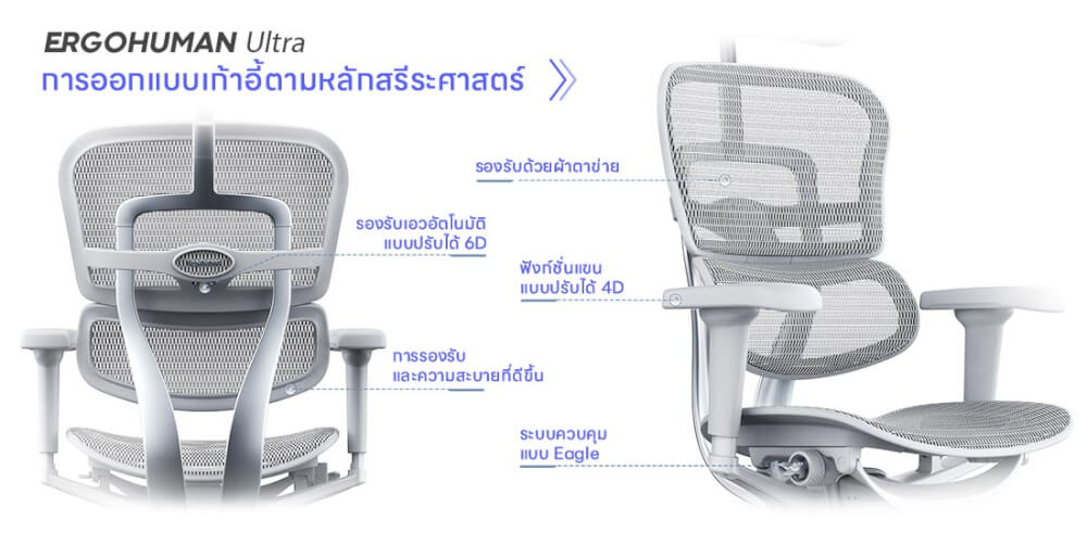 เก้าอี้เพื่อสุขภาพ DF PROCHAIR รุ่น Ergo Elite Ultra Plus สีเทา